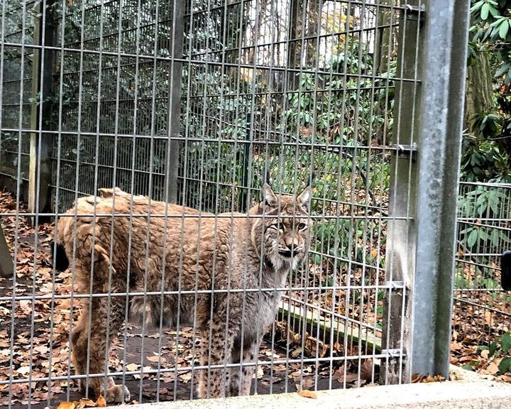 Tierpark Fauna